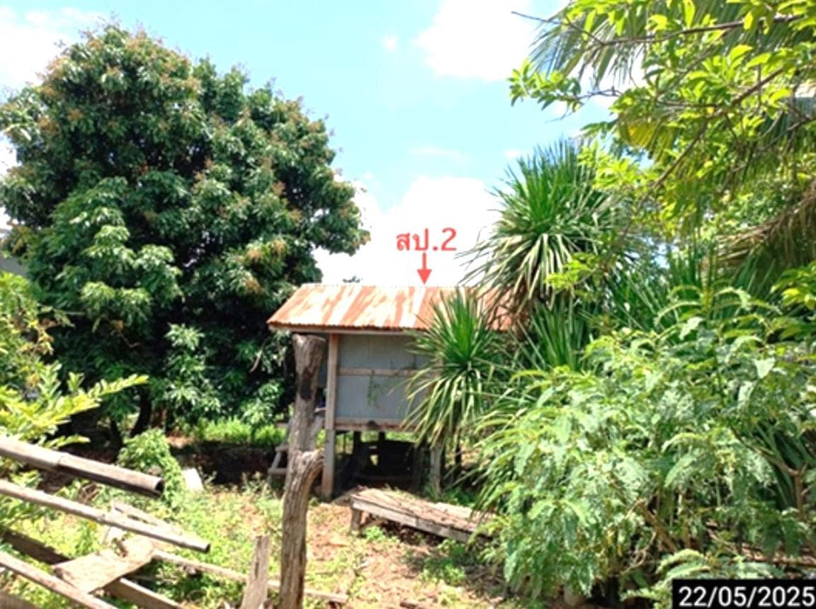 บ้านเดี่ยว นาข่า มัญจาคีรี ขอนแก่น 2 ห้องนอน 1 ห้องน้ำ พื้นที่ใช้สอย 167 ตร.ม. บนที่ดิน 14 ตร.ว. ทำเลสงบ เดินทางสะดวก บรรยากาศเป็นส่วนตัว ราคาคุ้มค่าเพียง 1.52 ล้าน
