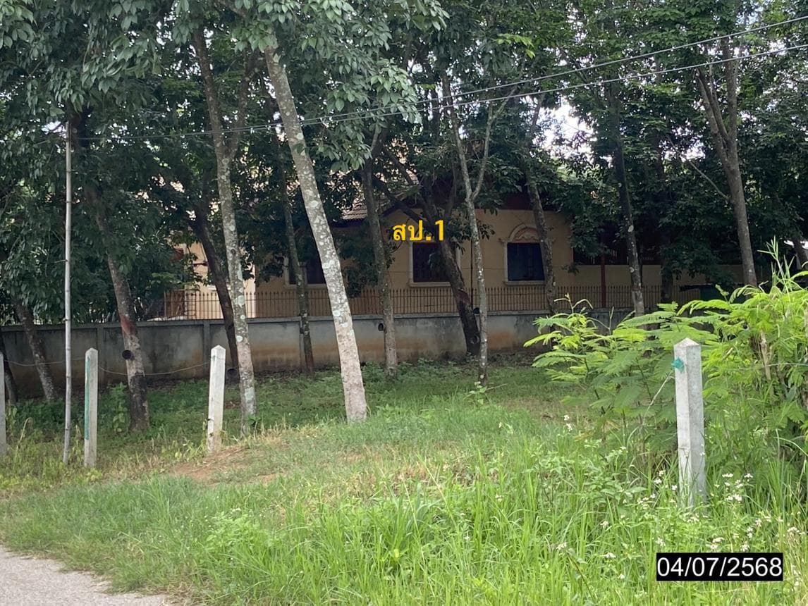 บ้านเดี่ยว 3 ห้องนอน พื้นที่ 233.8 ตร.ม. ทำเลศักยภาพ เอราวัณ เอราวัณ เลย
