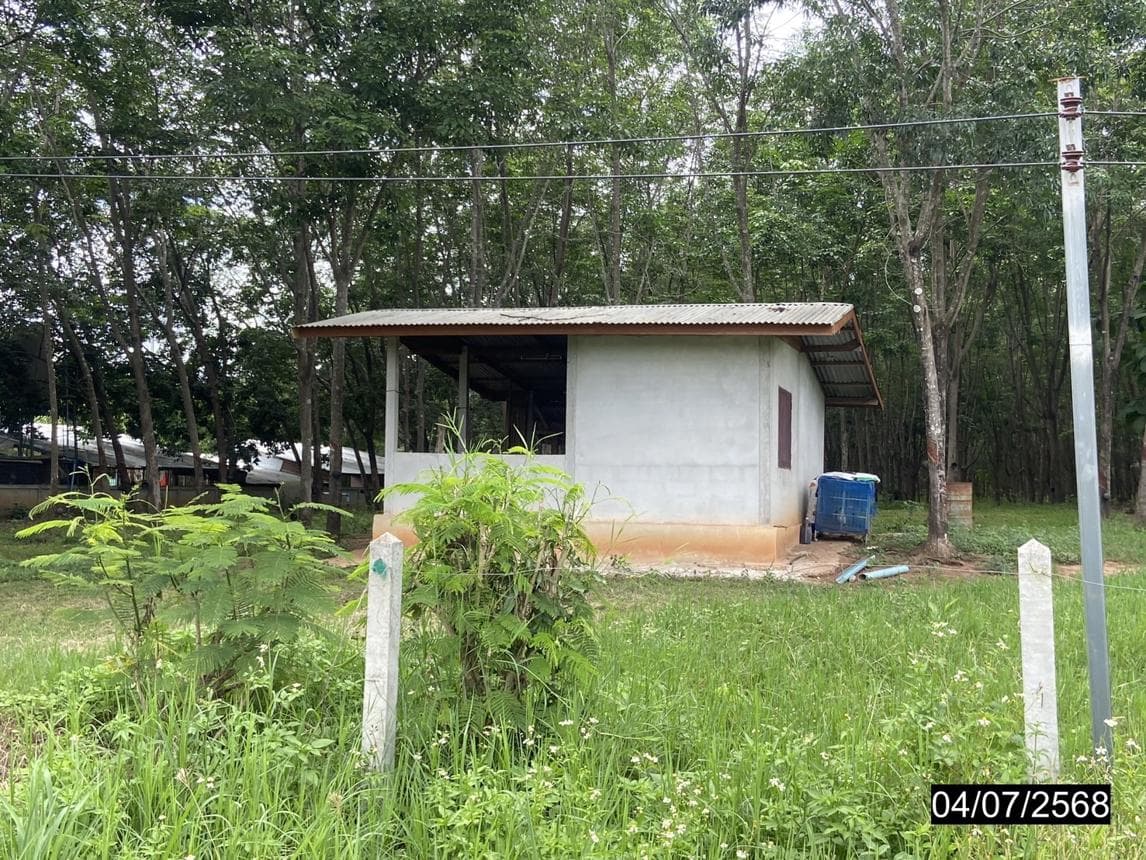 บ้านเดี่ยว 3 ห้องนอน พื้นที่ 233.8 ตร.ม. ทำเลศักยภาพ เอราวัณ เอราวัณ เลย
