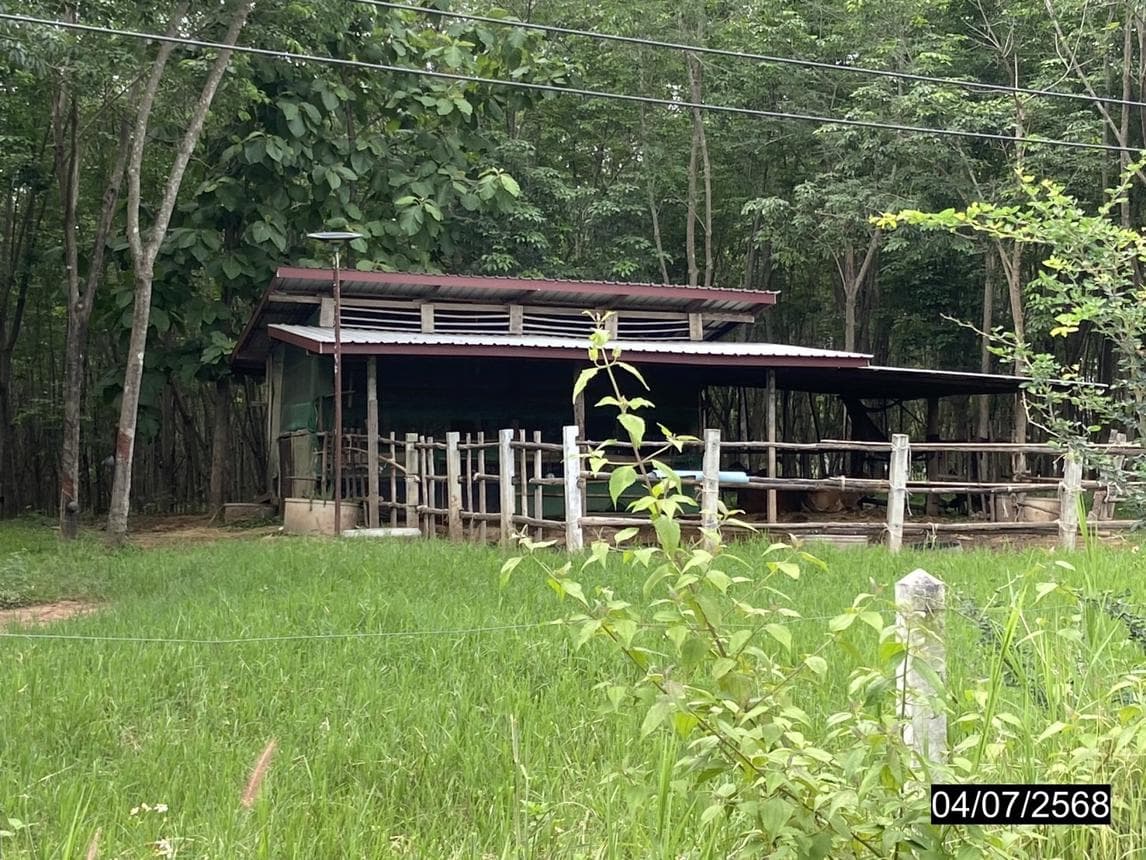 บ้านเดี่ยว 3 ห้องนอน พื้นที่ 233.8 ตร.ม. ทำเลศักยภาพ เอราวัณ เอราวัณ เลย