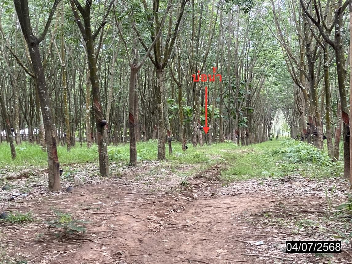 บ้านเดี่ยว 3 ห้องนอน พื้นที่ 233.8 ตร.ม. ทำเลศักยภาพ เอราวัณ เอราวัณ เลย