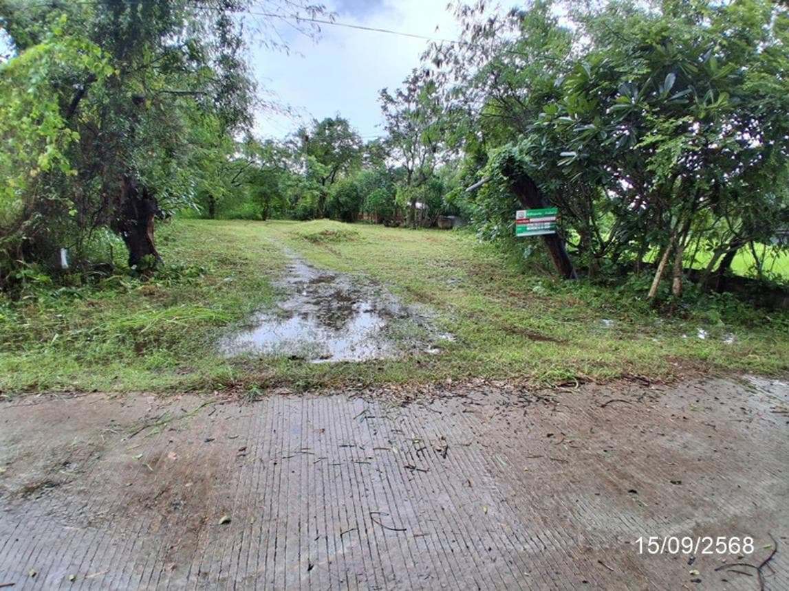บ้านเดี่ยว พื้นที่ 93.5 ตร.ม. ทำเลศักยภาพ พนา พนา อำนาจเจริญ