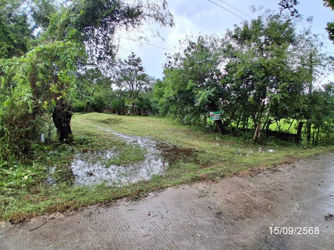 บ้านเดี่ยว พื้นที่ 93.5 ตร.ม. ทำเลศักยภาพ พนา พนา อำนาจเจริญ