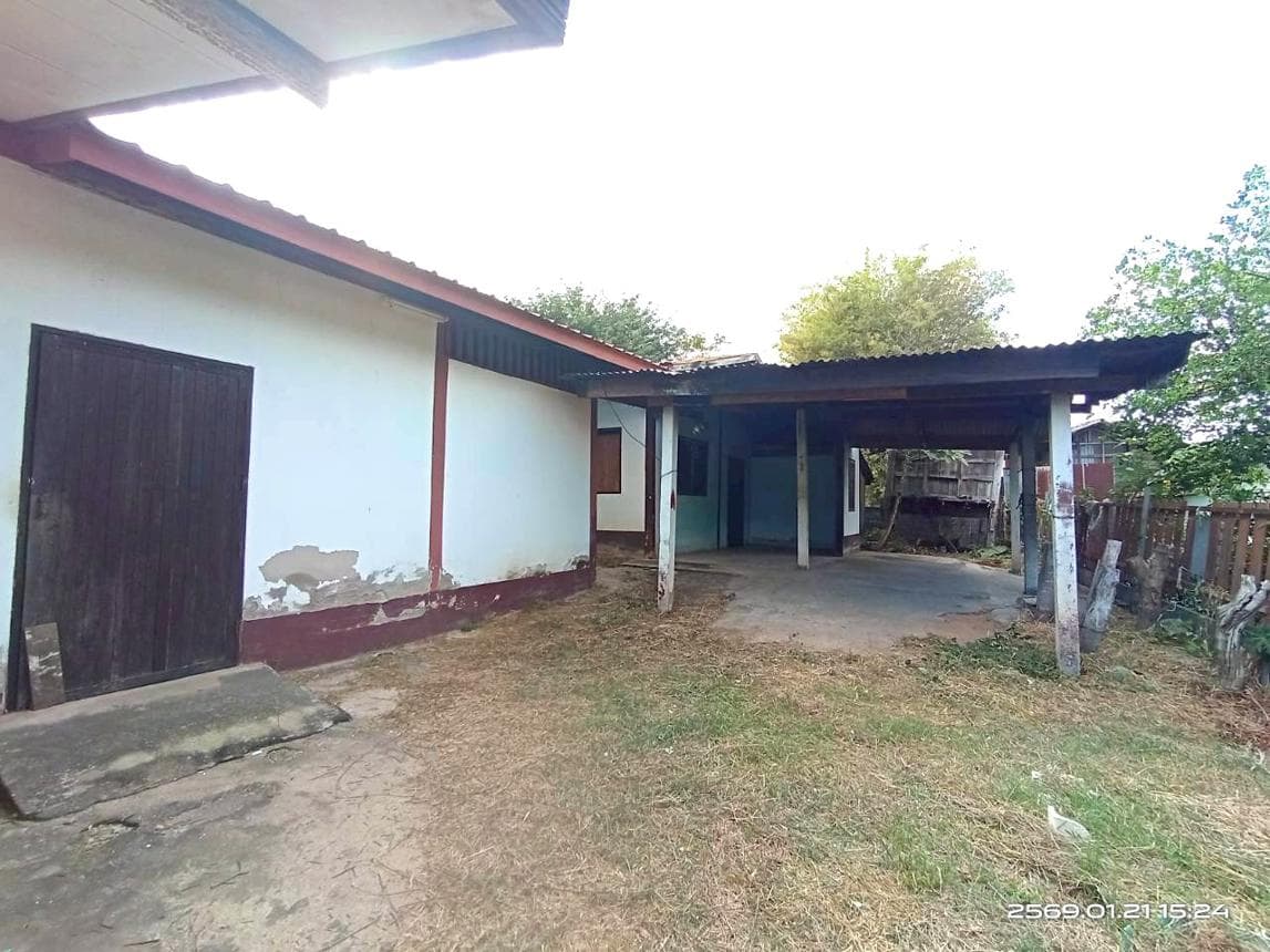 บ้านเดี่ยว 1 ห้องนอน พื้นที่ 172.5 ตร.ม. ทำเลศักยภาพ ยอดแกง นามน กาฬสินธุ์