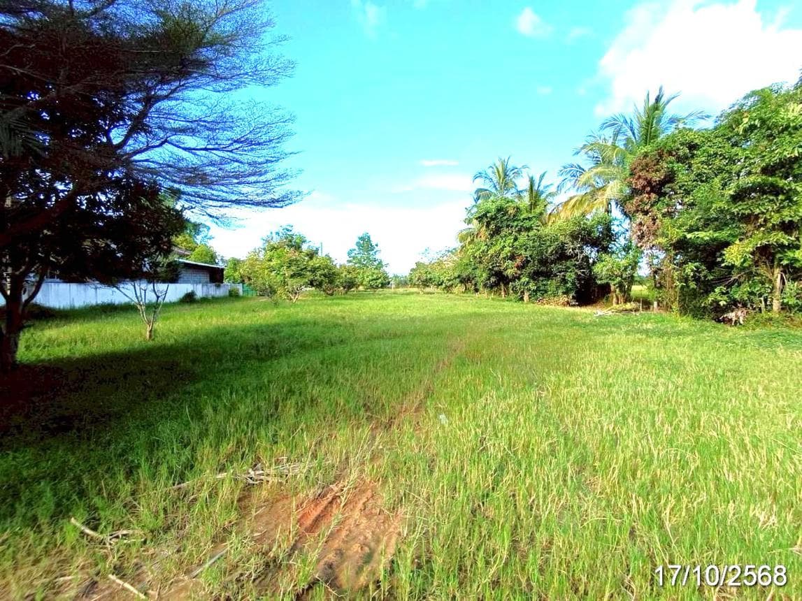 ที่ดินเปล่า 50 ตร.ว. ทำเลศักยภาพ ตำบลเวียง อำเภอฝาง เชียงใหม่ เหมาะสร้างบ้านพักตากอากาศ
