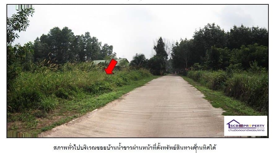 ที่ดินว่างเปล่า เขาพนม-กระบี่