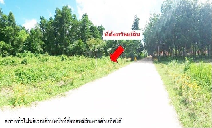 ที่ดินว่างเปล่า เขาพนม-กระบี่