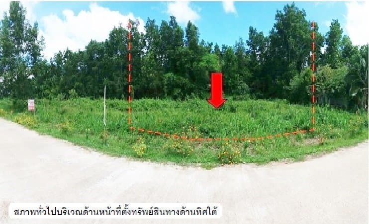 ที่ดินว่างเปล่า เขาพนม-กระบี่