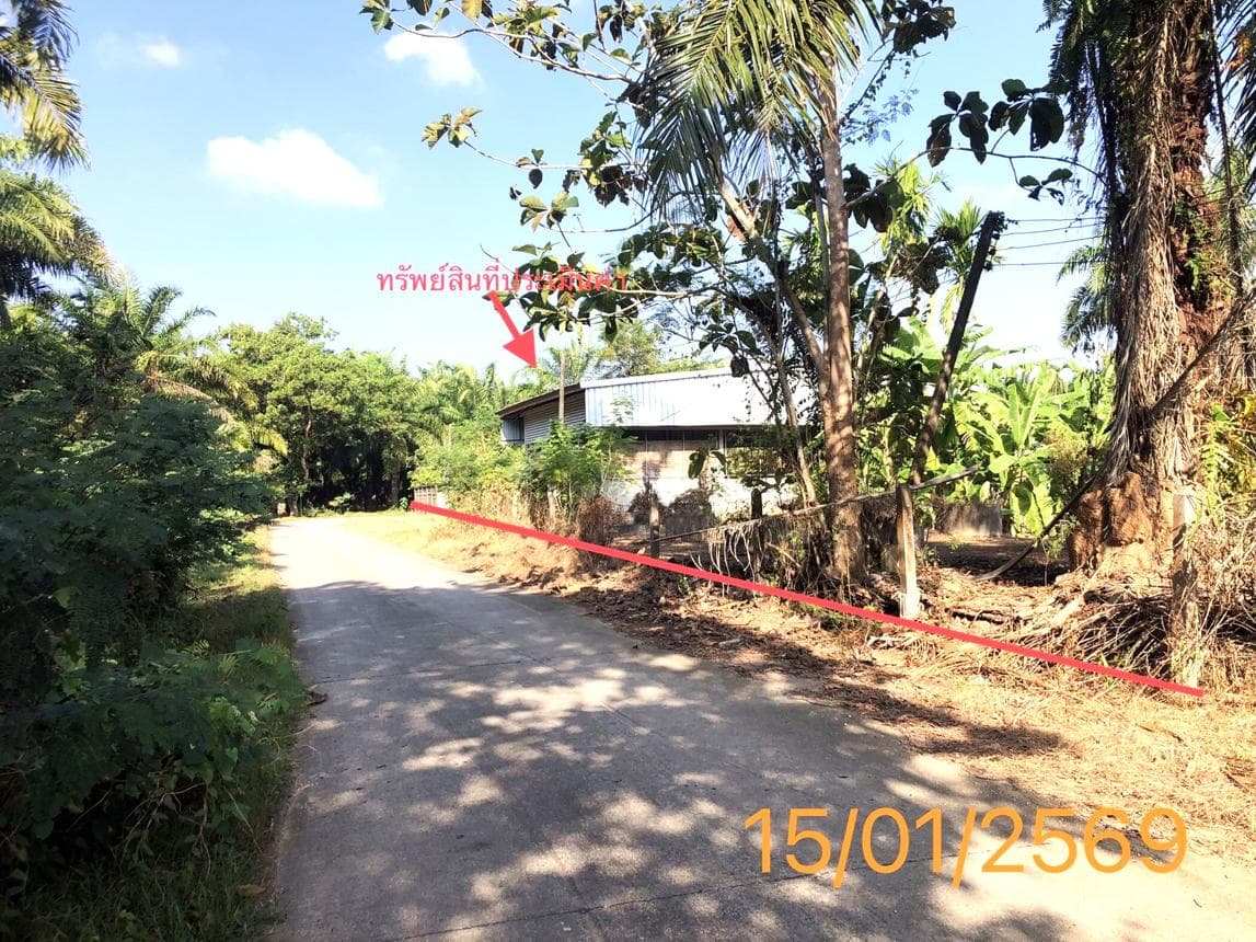 โกดัง พื้นที่ 180 ตร.ม. ทำเลศักยภาพ ปกาสัย เหนือคลอง กระบี่