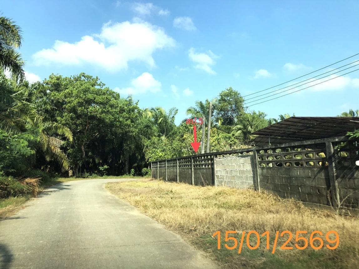 โกดัง พื้นที่ 180 ตร.ม. ทำเลศักยภาพ ปกาสัย เหนือคลอง กระบี่