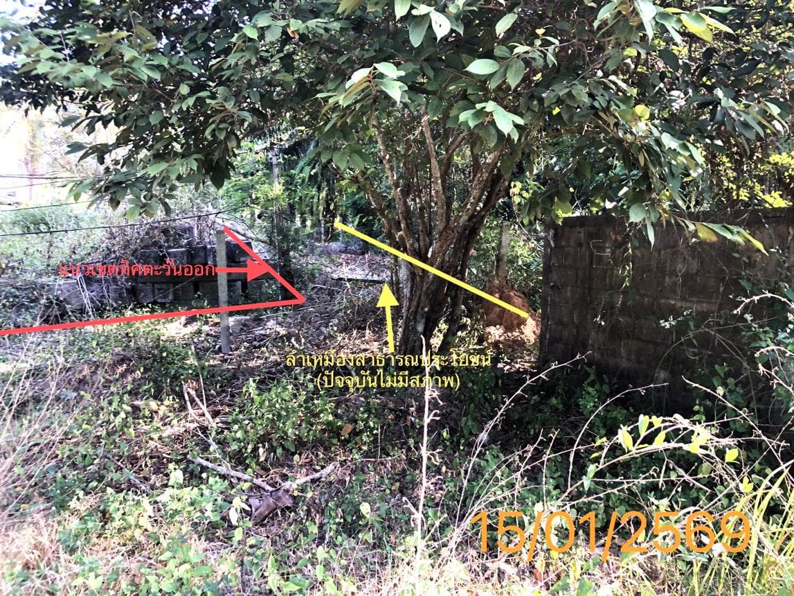 โกดัง พื้นที่ 180 ตร.ม. ทำเลศักยภาพ ปกาสัย เหนือคลอง กระบี่