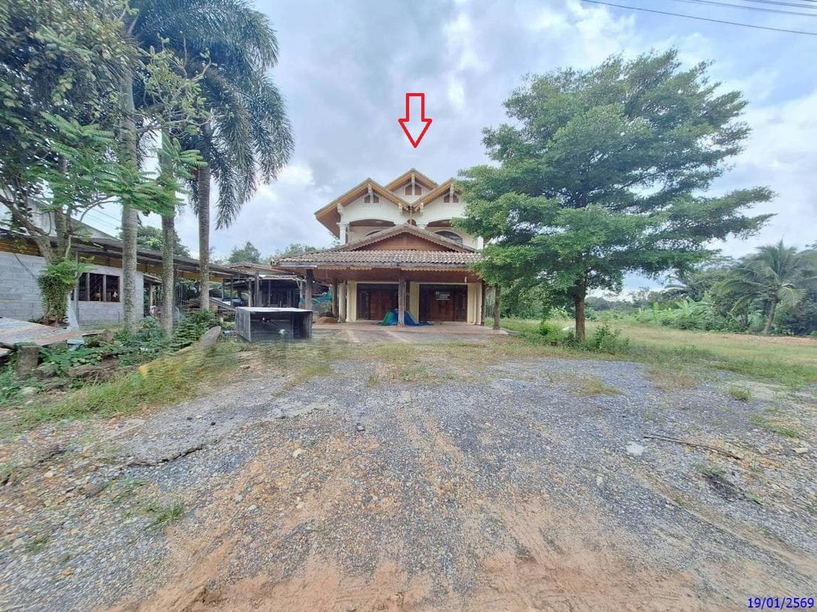 ขายบ้านเดี่ยว ป่าพะยอม ป่าพะยอม พัทลุง พื้นที่ 49 ตร.ว. พื้นที่ใช้สอย 413.2 ตร.ม. 3 ห้องนอน 2 ห้องน้ำ