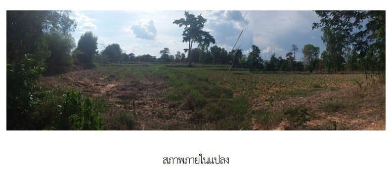 ที่ดินว่างเปล่า จตุรพักตรพิมาน ร้อยเอ็ด