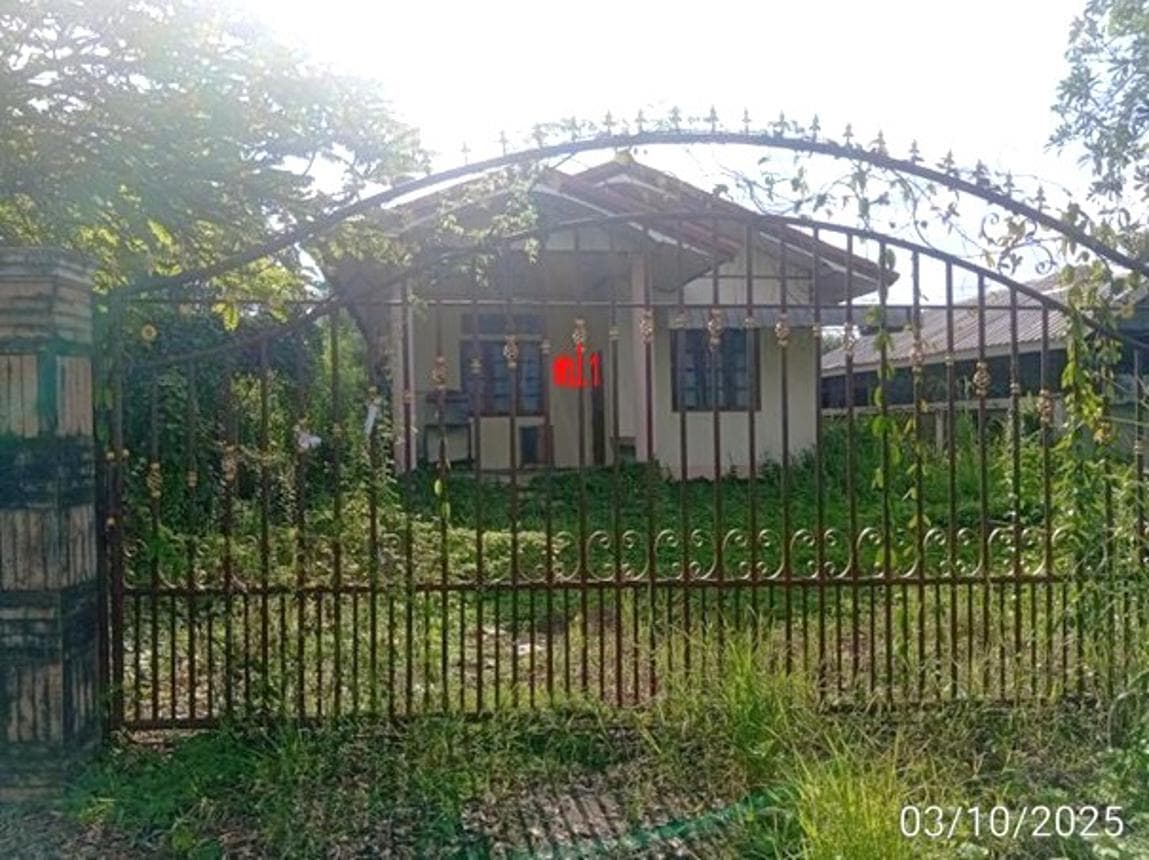 ขายบ้านเดี่ยว นากอก ศรีบุญเรือง หนองบัวลำภู 2 ห้องนอน พื้นที่ใช้สอย 98 ตร.ม.