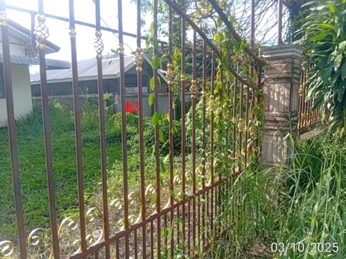ขายบ้านเดี่ยว นากอก ศรีบุญเรือง หนองบัวลำภู 2 ห้องนอน พื้นที่ใช้สอย 98 ตร.ม.