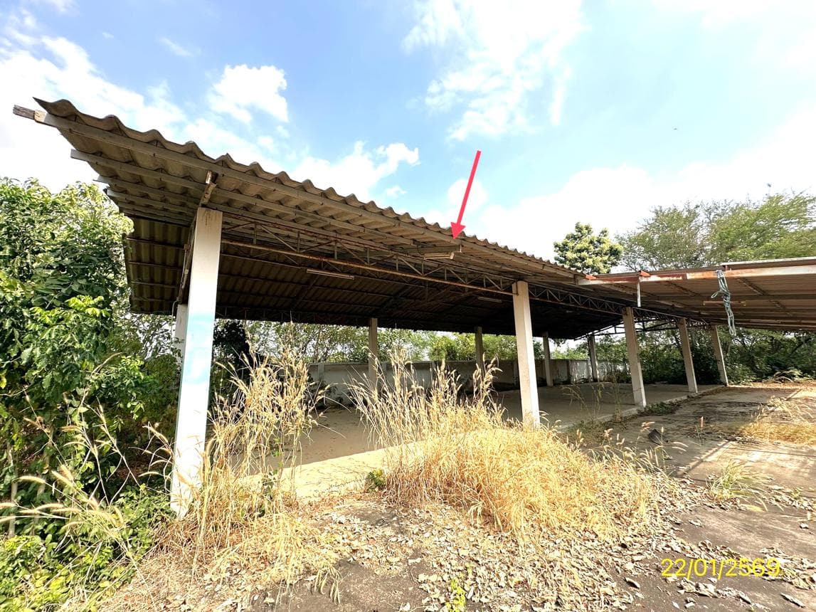 ขายบ้านเดี่ยว เมืองกาญจนบุรี กาญจนบุรี ทำเลหนองบัว พื้นที่ใช้สอย 392 ตร.ม. 2 ห้องนอน 2 ห้องน้ำ สภาพดี พร้อมอยู่