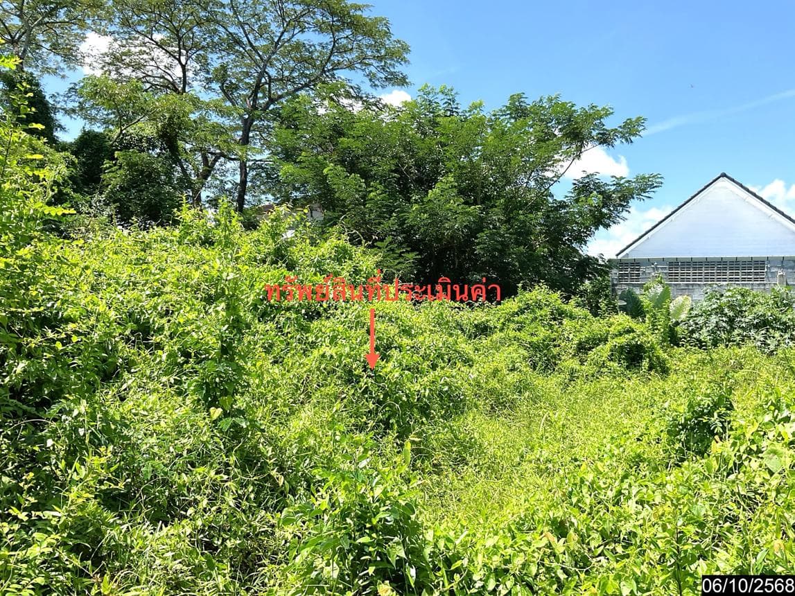 ที่ดินว่างเปล่า ท่าซัก เมืองนครศรีธรรมราช เนื้อที่ 52.8 ตร.ว. ทำเลสงบ บรรยากาศดี เหมาะสำหรับสร้างที่อยู่อาศัย ราคาพิเศษเพียง 8.98 แสน