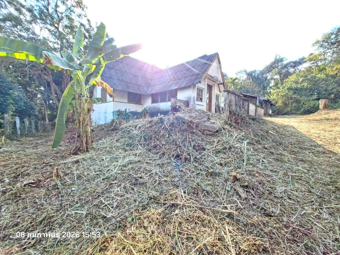 ขายบ้านเดี่ยว เชียงราย รอบเวียง เนื้อที่กว้างขวาง 91 ตร.ว. ทำเลดีใจกลางเมือง เดินทางสะดวก บรรยากาศร่มรื่น