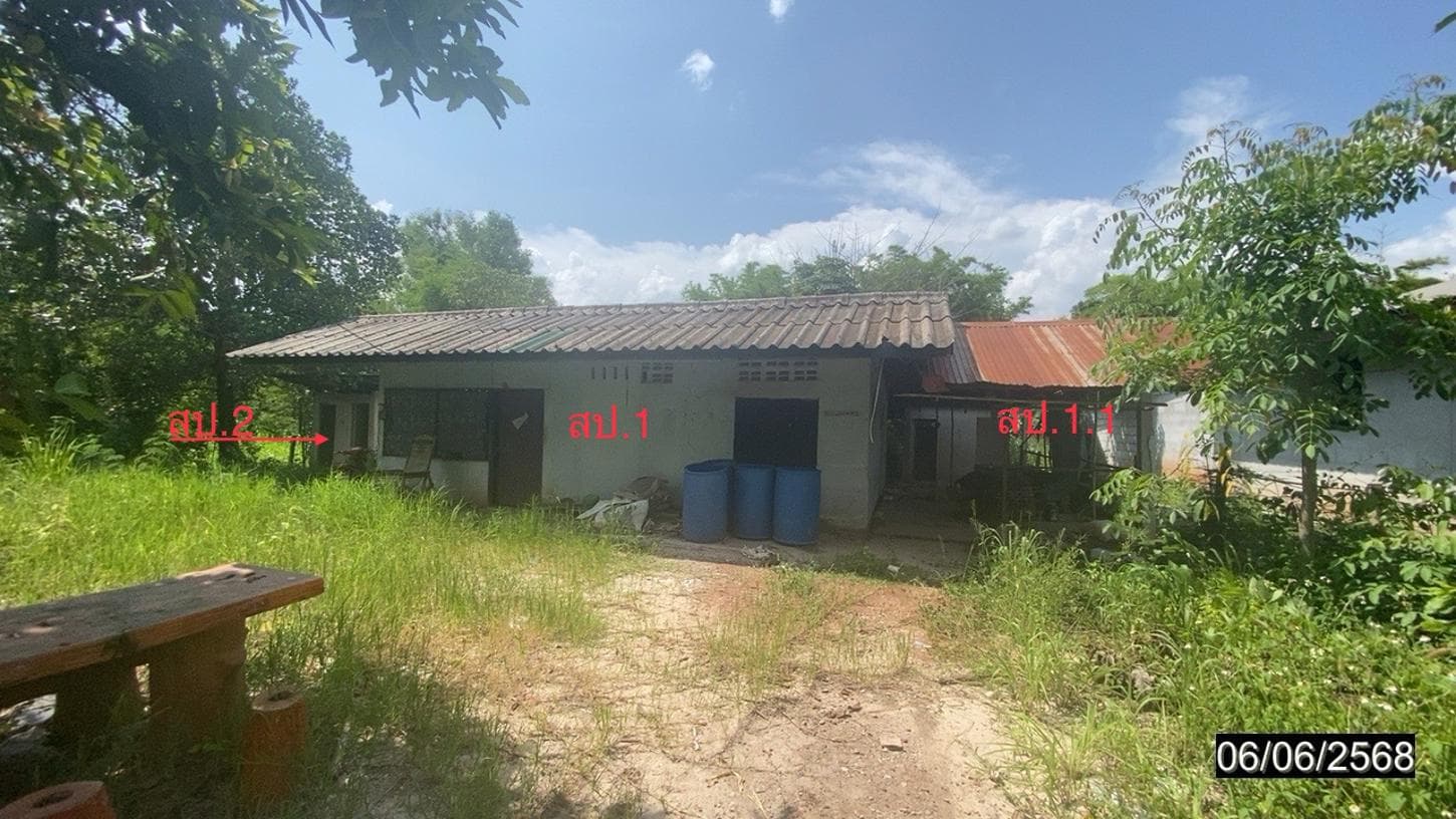 ขายบ้านเดี่ยว หนองหญ้าปล้อง วังสะพุง เลย 1 ห้องนอน พื้นที่ใช้สอย 121.5 ตร.ม.
