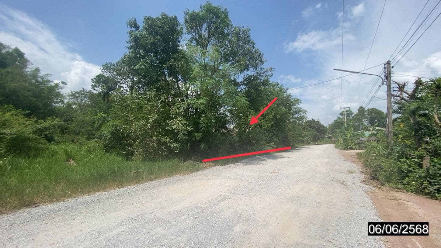 ขายบ้านเดี่ยว หนองหญ้าปล้อง วังสะพุง เลย 1 ห้องนอน พื้นที่ใช้สอย 121.5 ตร.ม.