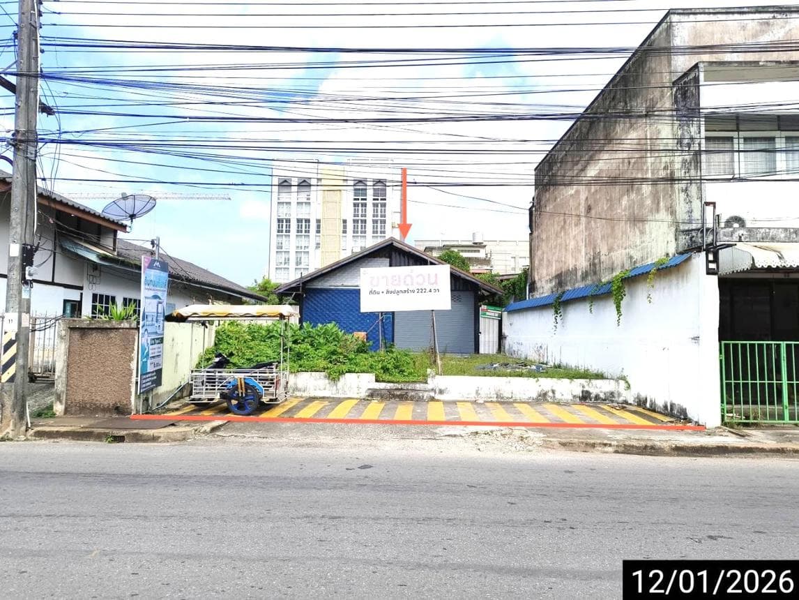 ขายบ้านเดี่ยว เมืองสุราษฎร์ธานี สุราษฎร์ธานี ทำเลมะขามเตี้ย เนื้อที่ 90.5 ตร.ว. พื้นที่ใช้สอย 160 ตร.ม. 5 ห้องน้ำ สภาพดี พร้อมอยู่