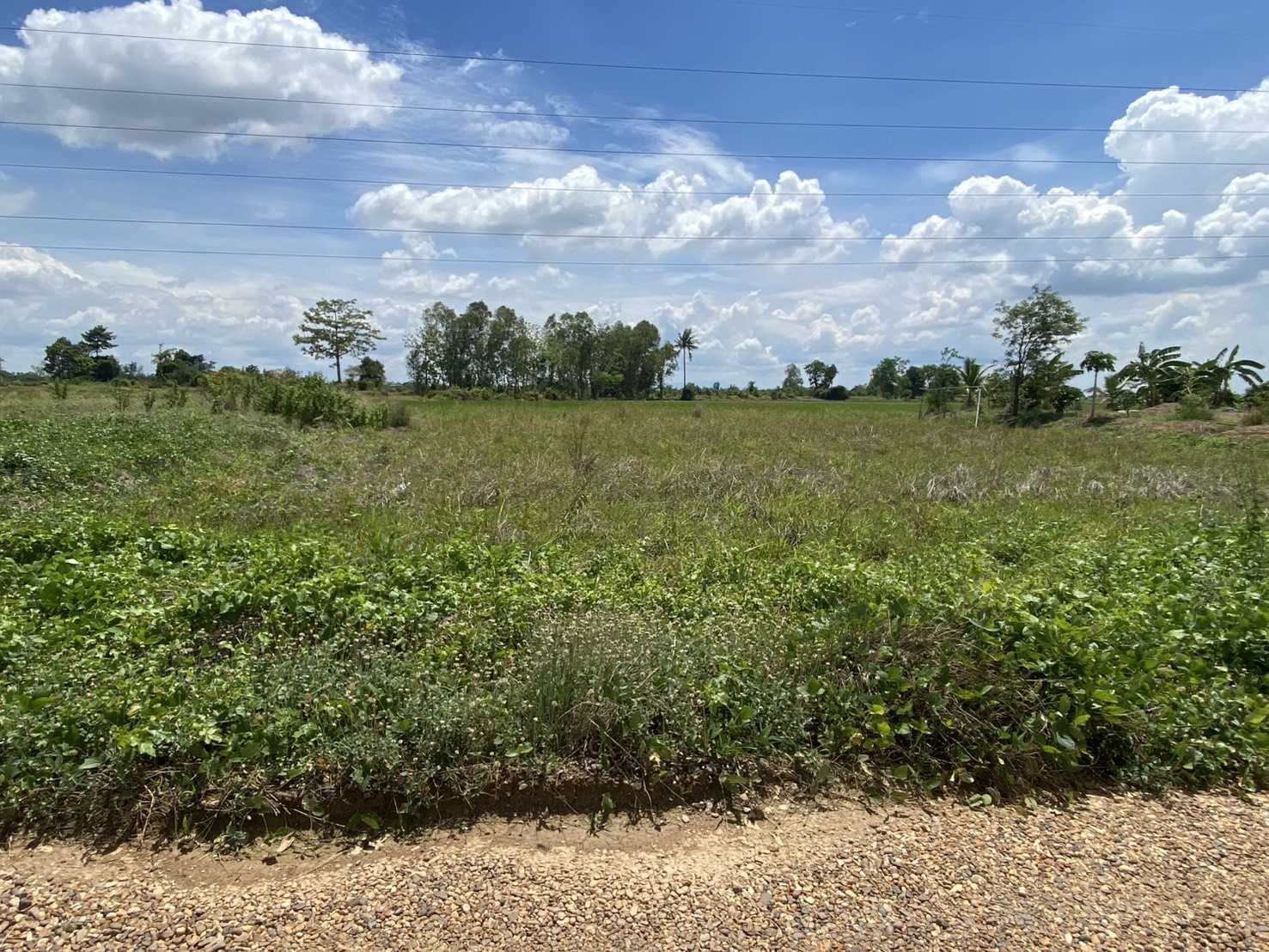 ที่ดินเปล่าจัดสรรแล้ว 200 ตรว