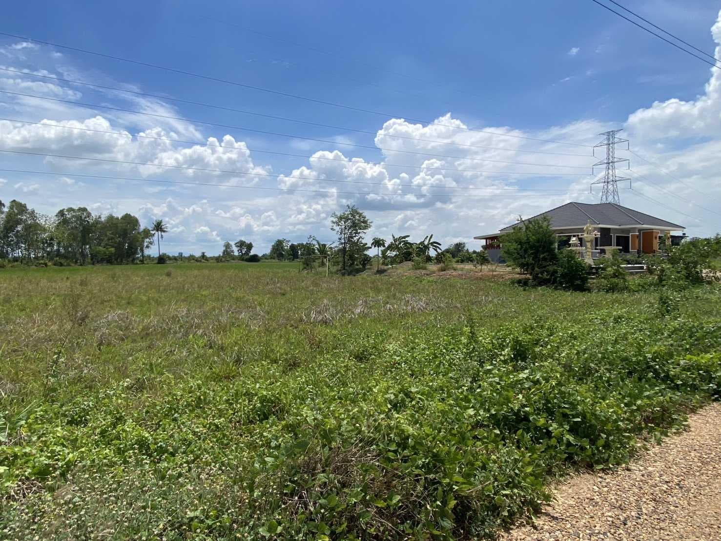 ที่ดินเปล่าจัดสรรแล้ว 200 ตรว