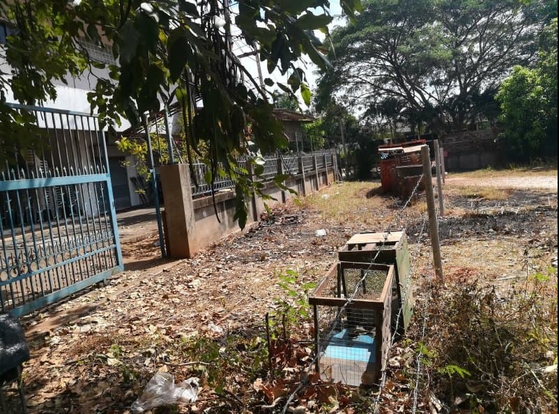 บ้านเดี่ยว เมืองสุราษฎร์ธานี-สุราษฎร์ธานี