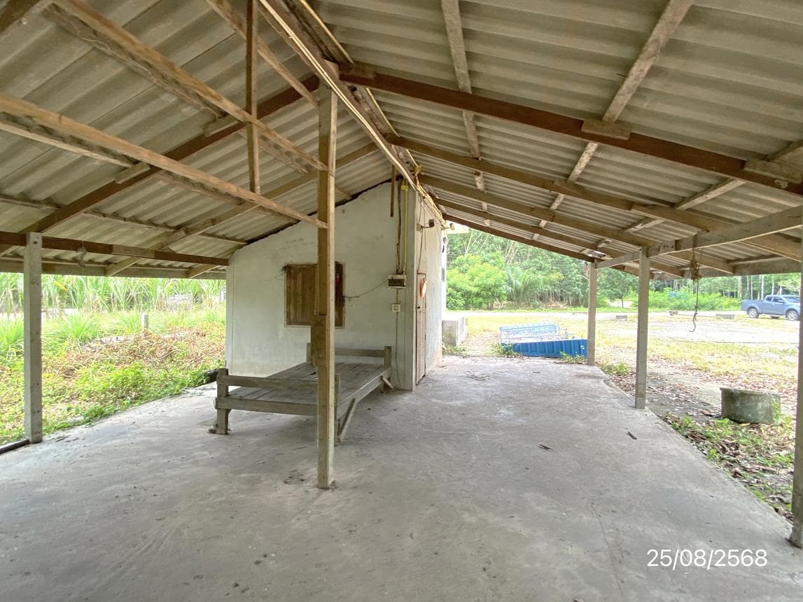 ขายโกดัง บ้านควนมุด จุฬาภรณ์ นครศรีธรรมราช พื้นที่ 2 ตร.ว. พื้นที่ใช้สอย 220 ตร.ม.