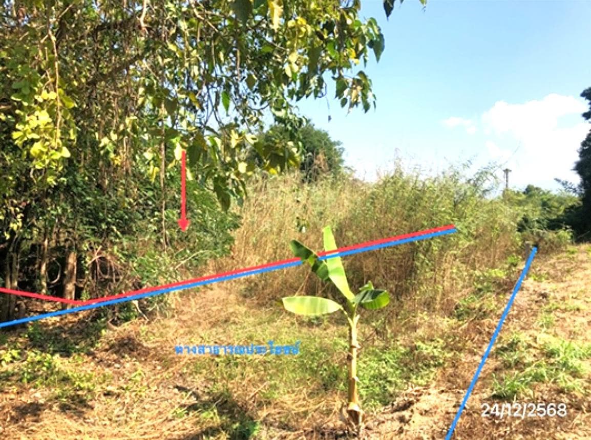 ขายที่ดินเปล่า แม่ปะ แม่สอด ตาก เนื้อที่ 95.3 ตร.ว. ทำเลดี เหมาะสร้างบ้านพักอาศัยหรือลงทุนเพื่ออนาคต