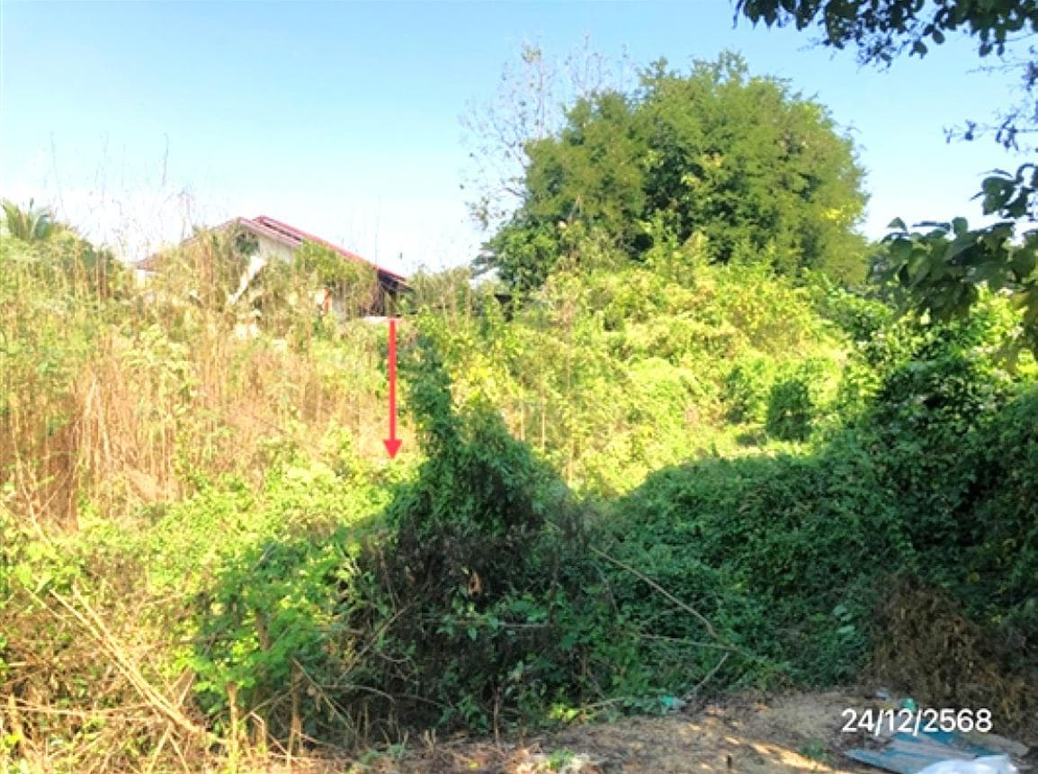 ขายที่ดินเปล่า แม่ปะ แม่สอด ตาก เนื้อที่ 95.3 ตร.ว. ทำเลดี เหมาะสร้างบ้านพักอาศัยหรือลงทุนเพื่ออนาคต