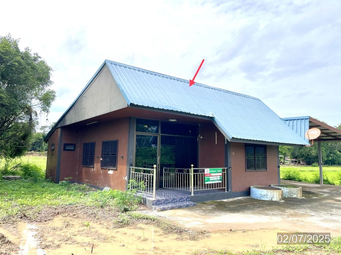 ขายบ้านเดี่ยว 2 ห้องนอน 1 ห้องน้ำ พื้นที่ 65.6 ตร.ว. ทำเลเงียบสงบ วังพิกุล วังทอง พิษณุโลก เหมาะสำหรับครอบครัวเริ่มต้น