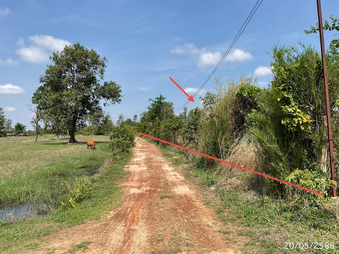 โกดัง กุดชมภู พิบูลมังสาหาร อุบลราชธานี พื้นที่ใช้สอย 828 ตร.ม. ทำเลศักยภาพรองรับธุรกิจและการขนส่ง