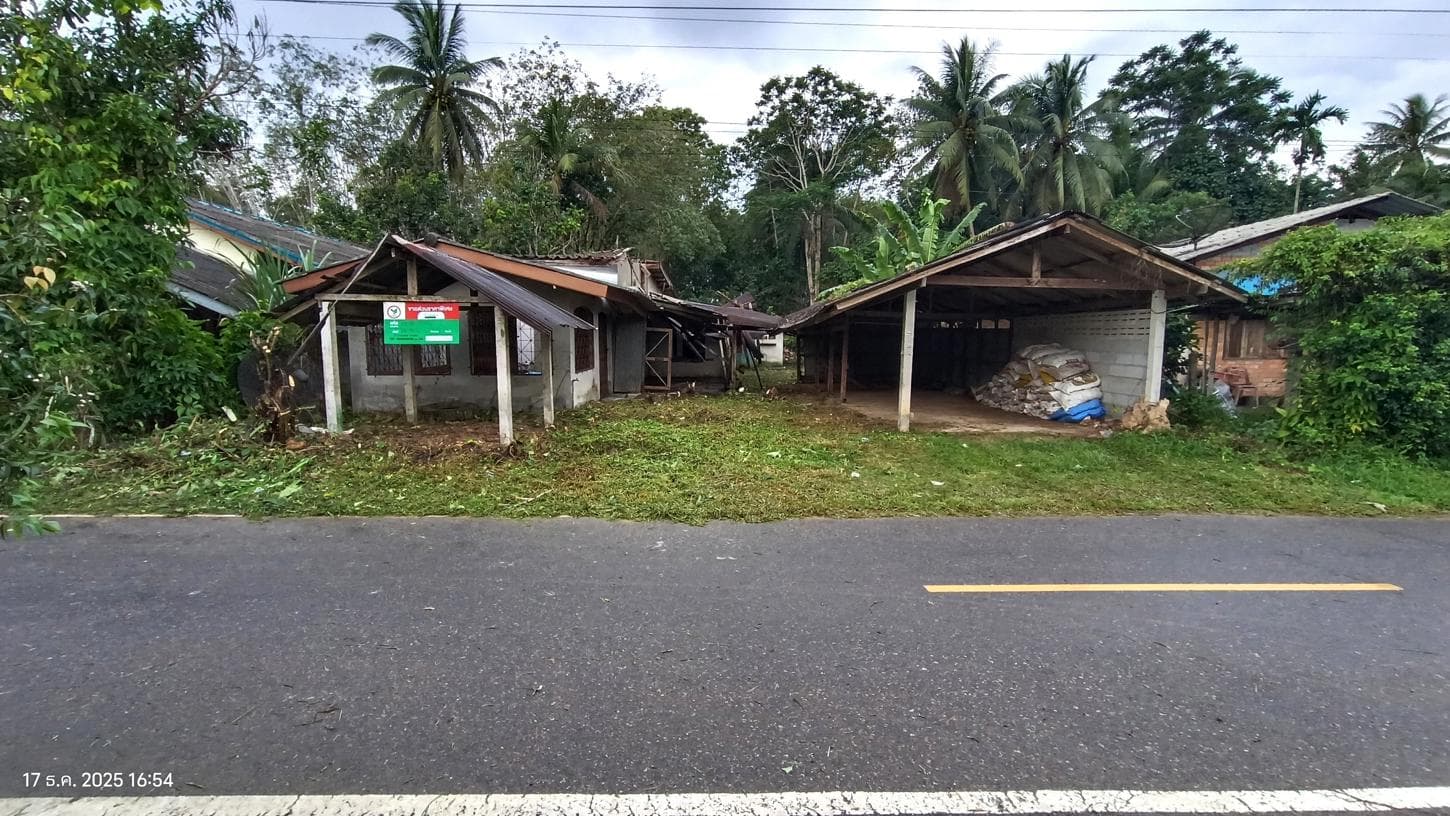 บ้านเดี่ยว วังใหม่ ป่าบอน พัทลุง 2 ห้องนอน 2 ห้องน้ำ พื้นที่ใช้สอย 202.85 ตร.ม. บนที่ดินกว้างขวาง 81.7 ตร.ว. ทำเลสงบเป็นส่วนตัว ราคาพิเศษ 1.06 ล้าน