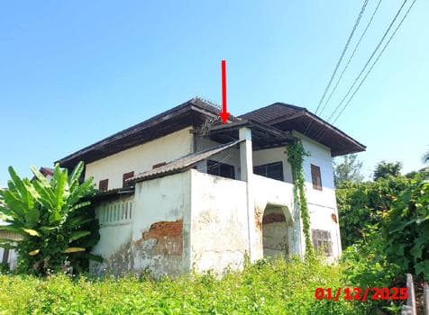 ขายบ้านเดี่ยว ป่าสัก เมืองลำพูน พื้นที่ 52.4 ตร.ว. 2 ห้องนอน ทำเลดี ราคาไม่ถึง 2 ล้าน คุ้มค่ามาก