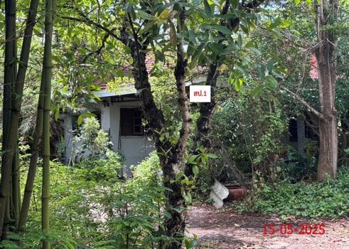 ขายบ้านเดี่ยว ป่าสัก เมืองลำพูน พื้นที่ 52.4 ตร.ว. 2 ห้องนอน ทำเลดี ราคาไม่ถึง 2 ล้าน คุ้มค่ามาก