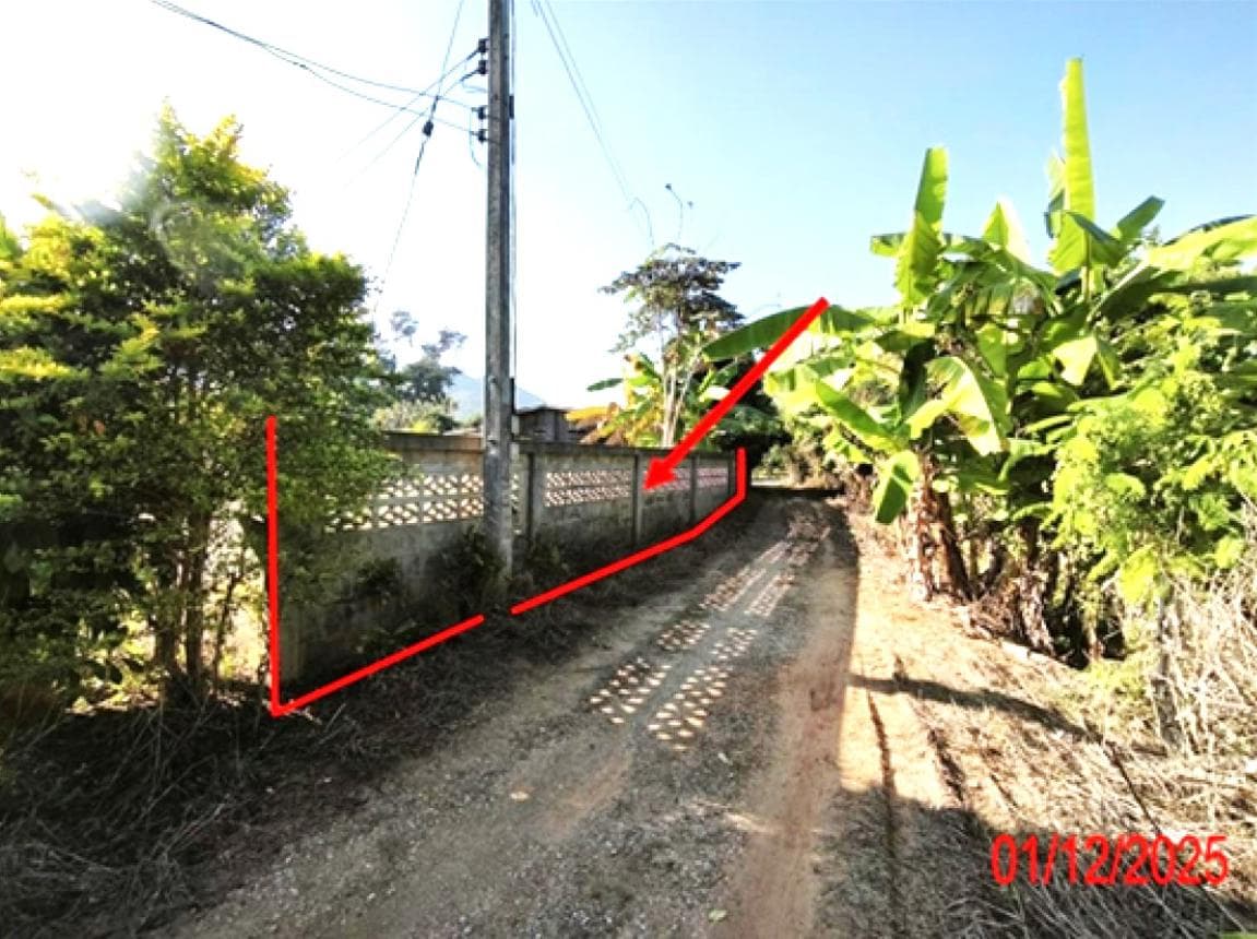 ขายที่ดินเปล่า ป่าพลู บ้านโฮ่ง ลำพูน เนื้อที่ 50 ตร.ว. ทำเลสงบ เหมาะสร้างบ้านพักอาศัย