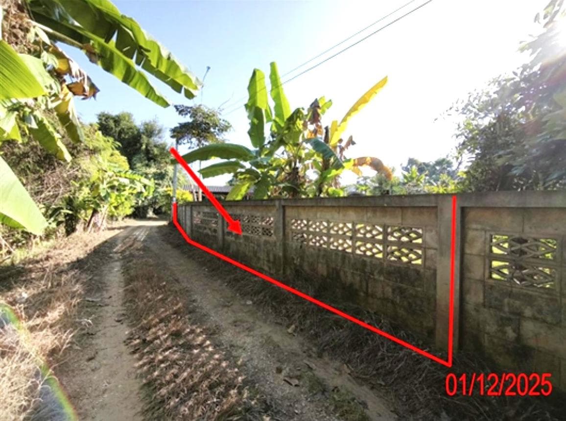 ขายที่ดินเปล่า ป่าพลู บ้านโฮ่ง ลำพูน เนื้อที่ 50 ตร.ว. ทำเลสงบ เหมาะสร้างบ้านพักอาศัย