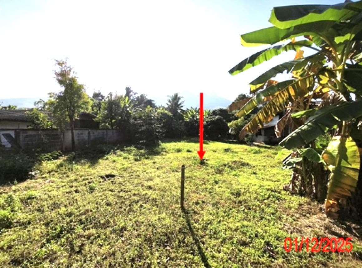 ขายที่ดินเปล่า ป่าพลู บ้านโฮ่ง ลำพูน เนื้อที่ 50 ตร.ว. ทำเลสงบ เหมาะสร้างบ้านพักอาศัย