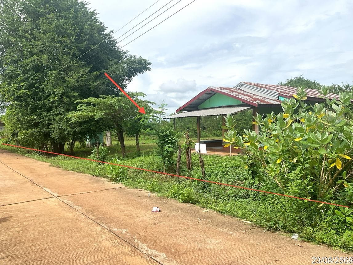 ขายบ้านเดี่ยวราคาล้านต้นๆ พื้นที่ใช้สอย 63 ตร.ม. บนเนื้อที่กว้าง 72 ตร.ว. ทำเลดี ย่านบะหว้า อากาศอำนวย สกลนคร บรรยากาศเงียบสงบร่มรื่นเป็นส่วนตัว