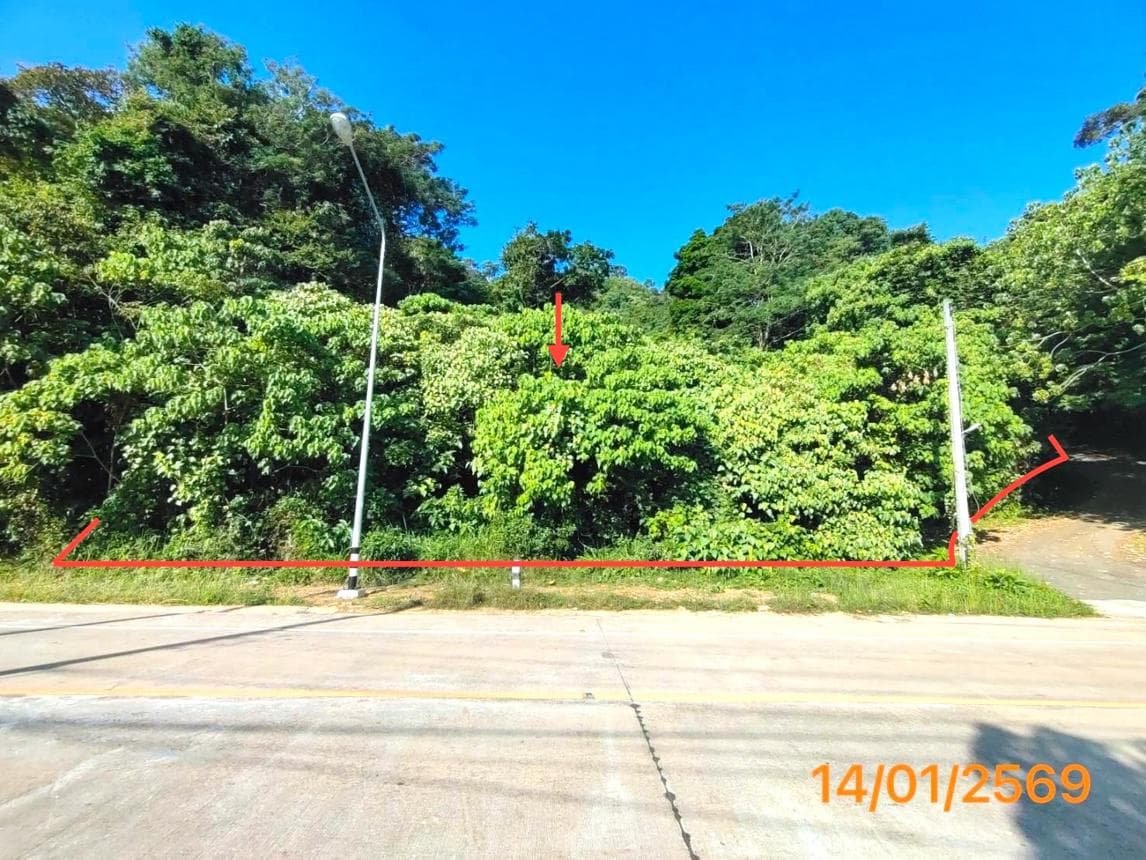 ขายที่ดิน ศาลาด่าน เกาะลันตา กระบี่ เนื้อที่ 36 ตร.ว.