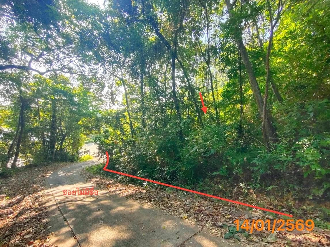 ขายที่ดิน ศาลาด่าน เกาะลันตา กระบี่ เนื้อที่ 36 ตร.ว.