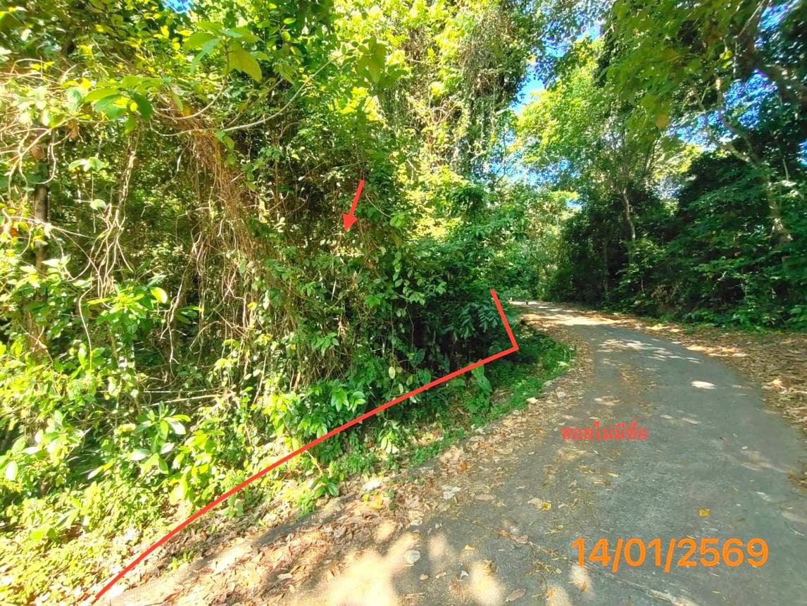 ขายที่ดิน ศาลาด่าน เกาะลันตา กระบี่ เนื้อที่ 36 ตร.ว.