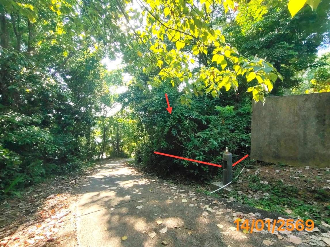 ขายที่ดิน ศาลาด่าน เกาะลันตา กระบี่ เนื้อที่ 36 ตร.ว.