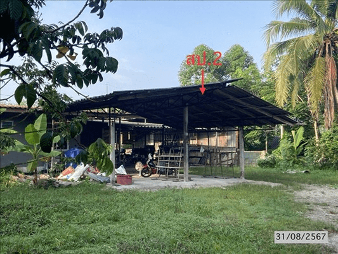 ขายบ้านเดี่ยว ป่าบอน พัทลุง ทำเลหนองธง พื้นที่ 24.4 ตร.ว. ราคาสุดคุ้มล้านต้นๆ