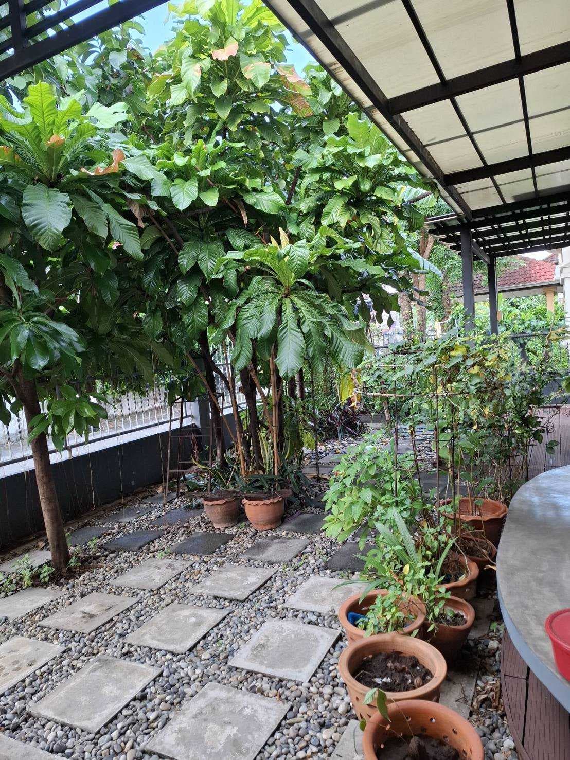 ขายบ้านเดี่ยวรีโนเวทใหม่ พร้อมอยู่ หมู่บ้านมงคลทิพย์ รามอินทรา 34 ใกล้รถไฟฟ้าสายสีชมพู