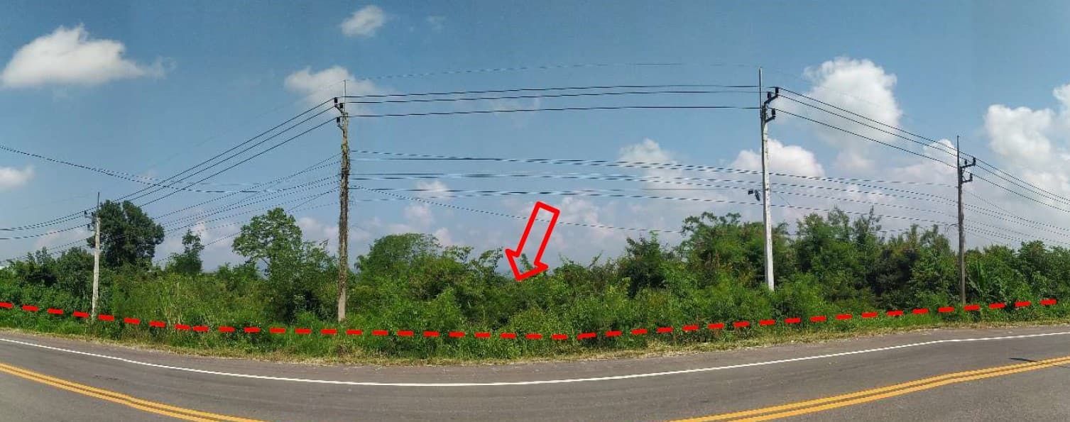 ที่ดินเปล่า ท่าลี่ เลย