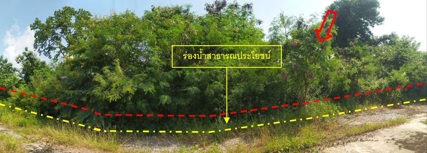 ที่ดินเปล่า ท่าลี่ เลย