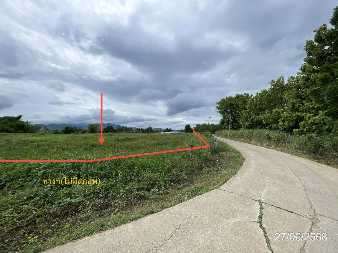 ที่ดินทำเลสวย วังชมภู เมืองเพชรบูรณ์ 88.3 ตร.ว. เหมาะสร้างบ้านพักตากอากาศหรือลงทุน