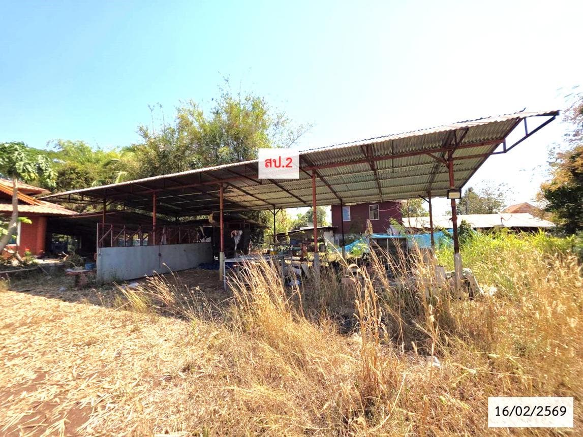 ขายบ้านเดี่ยว อำเภอพังโคน สกลนคร 3 ห้องนอน พื้นที่กว้างขวาง บรรยากาศเป็นส่วนตัว